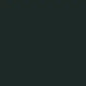 Solid dark green background, muted forest green color, uniform flat composition with no texture or visible pattern for backdrop use.